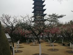 -上海方塔园
