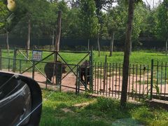 -秦皇岛野生动物园