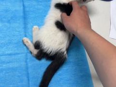 -达爱动物医院·犬猫分区·CT·复杂眼科(远洋山水分院)