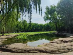 -阿尔丁植物园