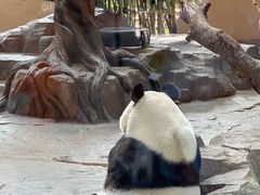 -宁波野生动物园