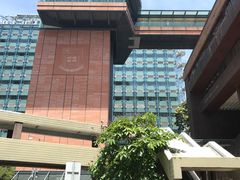 -香港大学