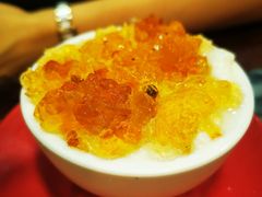 椰汁桃胶双皮奶-玫瑰甜品(文明路店)