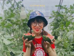 -西瓜小镇