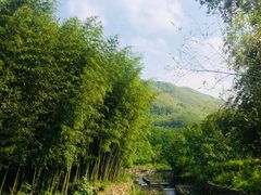 -东天目山风景区