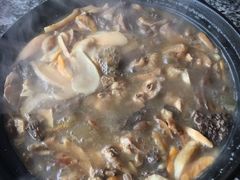 -蘑统田下·野生菌火锅