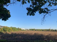 -泰山花样年华景区
