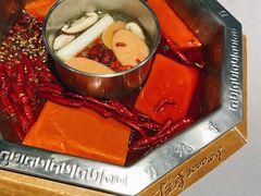-蜀九香火锅(九眼桥店)