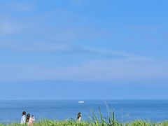 -涉地可支