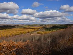 -塞罕坝国家级自然保护区
