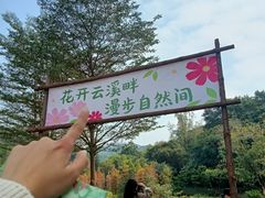 -云溪植物园