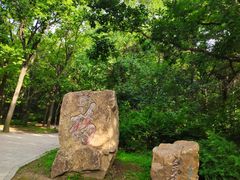 -沈阳市东陵公园