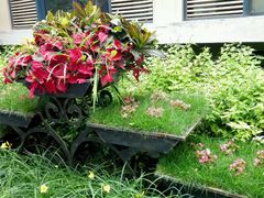 android_upload_pic-南馆公园