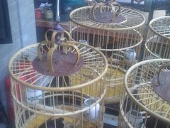 门口的四只吵吵闹闹的不知名字的大胖鸟-到家尝北京菜(西坝河店)