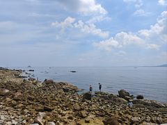 -养马岛旅游度假区