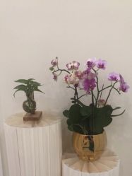 -海涛医疗美容·面部抗衰·注射美鼻