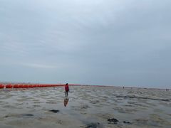 -北海金海湾红树林生态旅游区