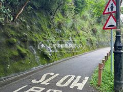 -太平山顶