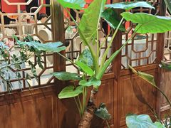 -辛香味烧鱼馆·非遗技艺·排骨红烧肉(光谷医药园店)