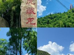 -阿露佳·舌尖上的安吉菜