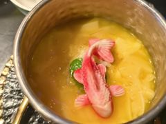 锦鲤杨枝甘露-粤·向群饭店(二沙岛店)