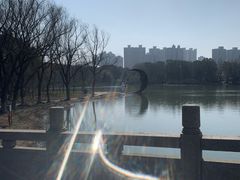 -昆山城市生态森林公园