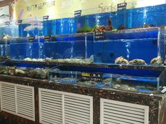 水产区-河马鲜生海鲜超市(风荷园店)