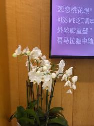 -Yestar重庆艺星医疗美容医院