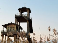 -野鸭湖国家湿地公园