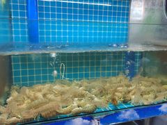 -坛南湾阿强农家乐.海鲜大排档老字号(福州地标美食店)