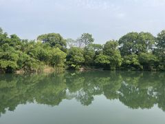 -西溪国家湿地公园