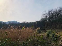 -紫金山山顶公园