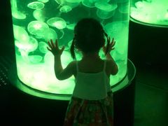 -悉尼海洋生物水族馆