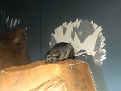 -昆明大悦城未来动物城(螺蛳湾中心店)