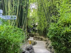 -三苏祠