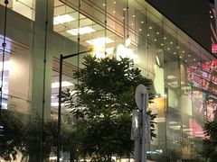 -Apple 零售店(Causeway Bay)