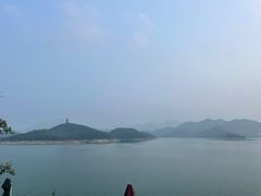 -望湖烤鱼