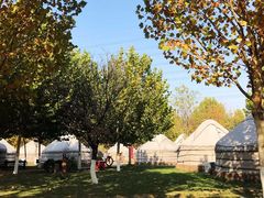 -九十九顶毡房(阜石路店)