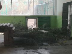 -石家庄市动物园