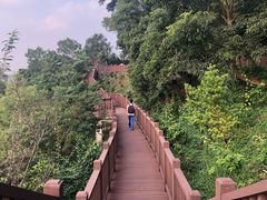 -梧桐山风景名胜区