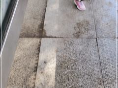 -晓友烧麦(光华村店)