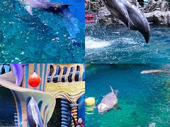 -郑州海洋馆