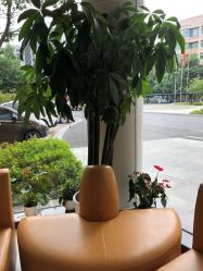 点击看大图 -杭州天目山妇产医院