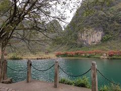 -靖西鹅泉风景区
