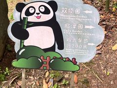 -都江堰中华大熊猫苑
