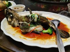 清蒸老虎斑-北海渔村酒楼·粤菜海鲜点心(新华店)