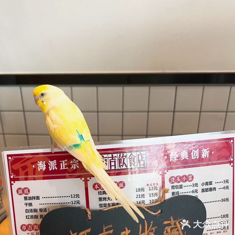 ✨炸猪排界顶流  老上海浇头面咪道哈嗲