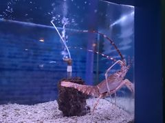 -北京海洋馆