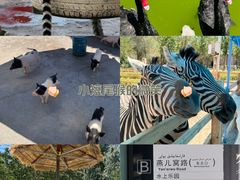 -水上乐园·欢乐世界