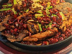 -老板恋上鱼(高新万达店)
